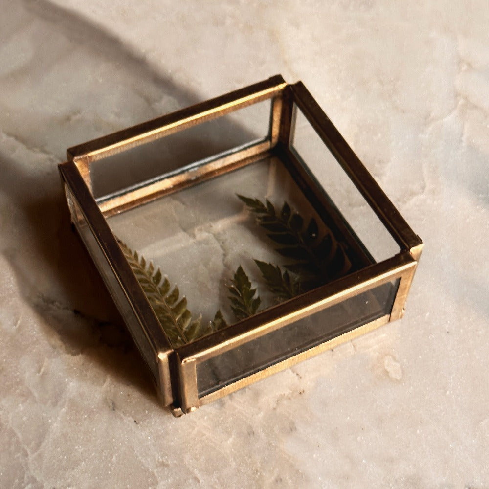 Fern Glass Tray - Peacock Life by Shabnam Gupta