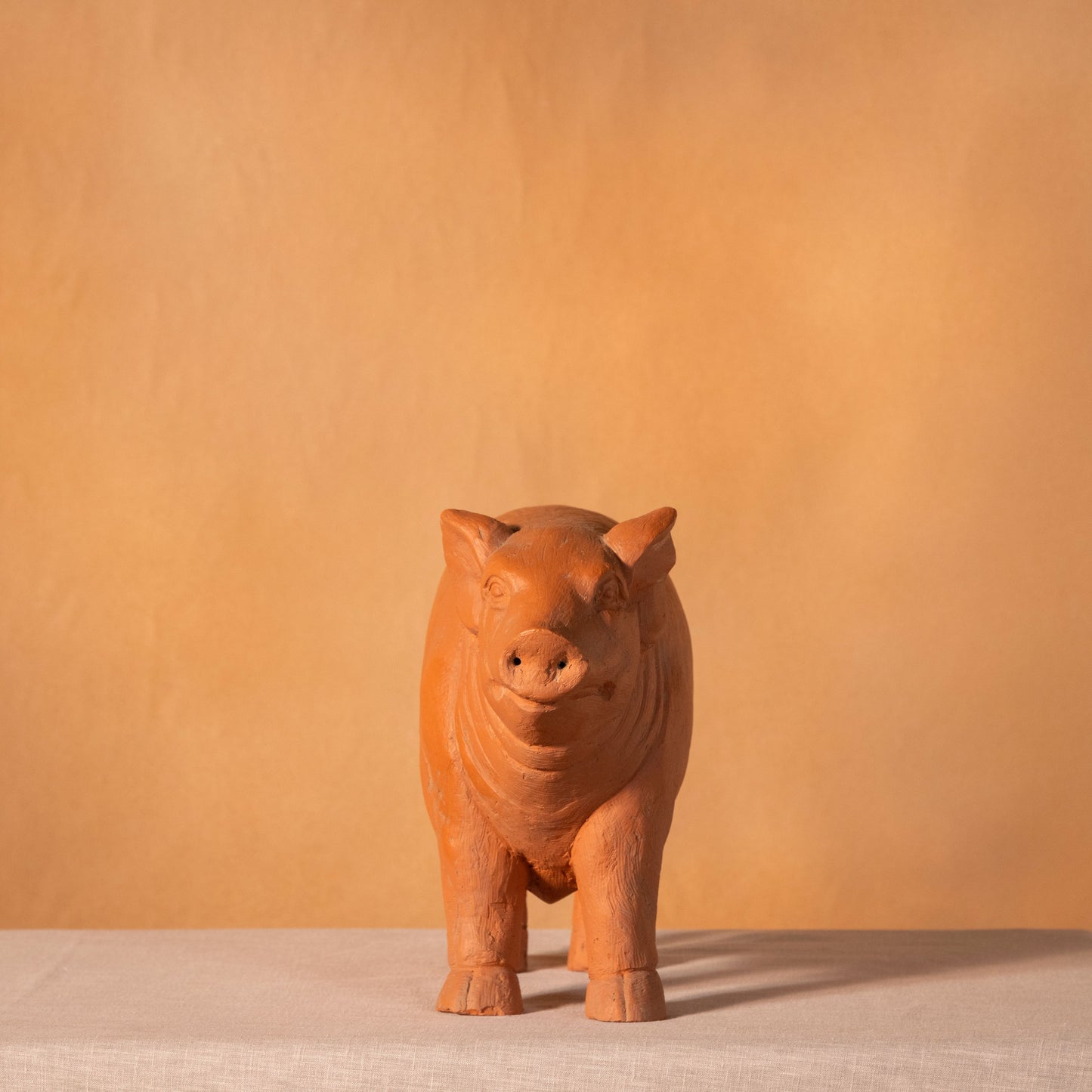 Cute Little Piglet