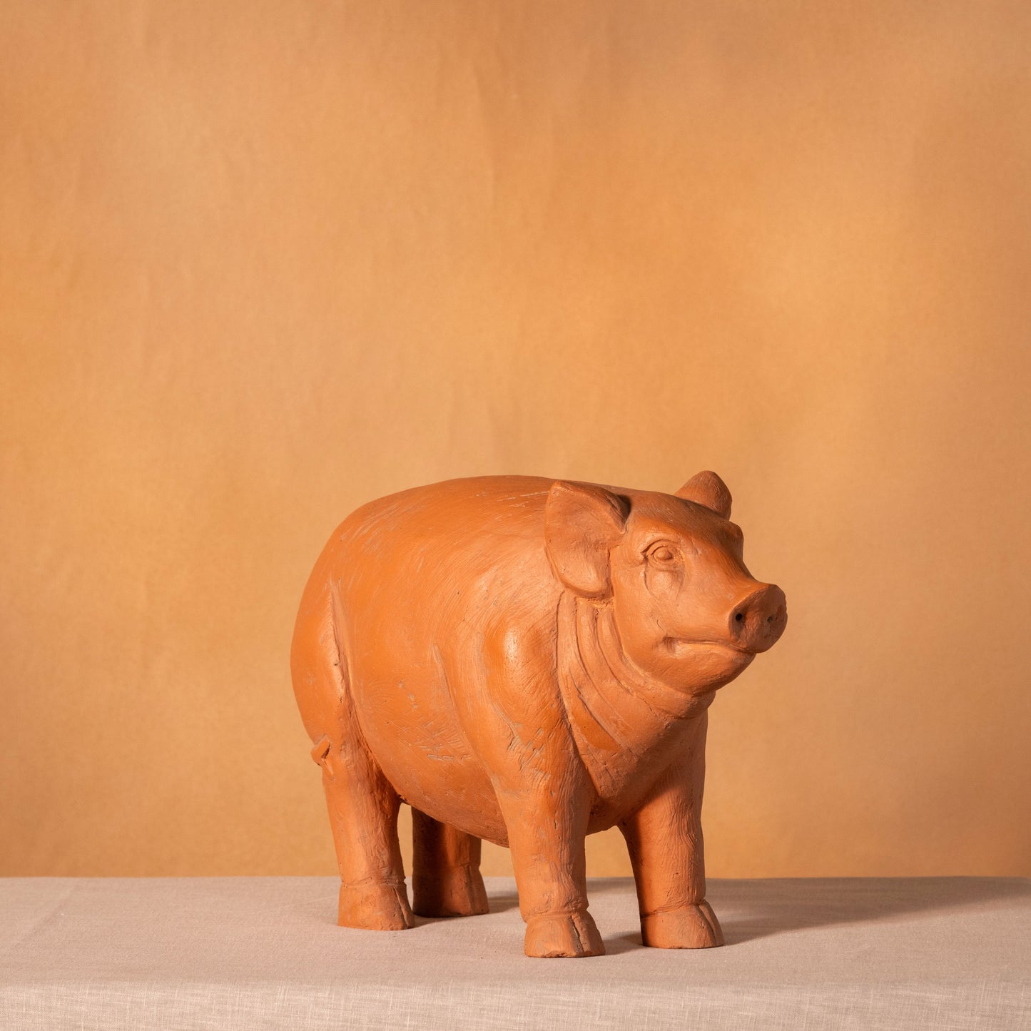 Cute Little Piglet