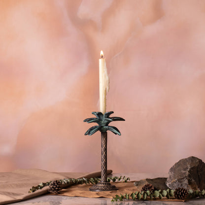 Amazon Candle Holder
