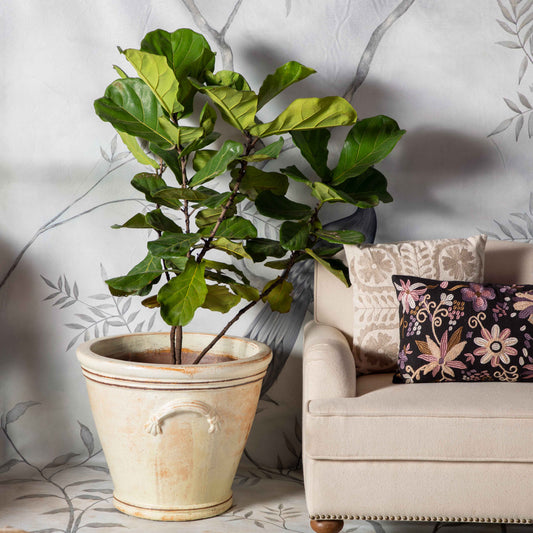 Keres Planter
