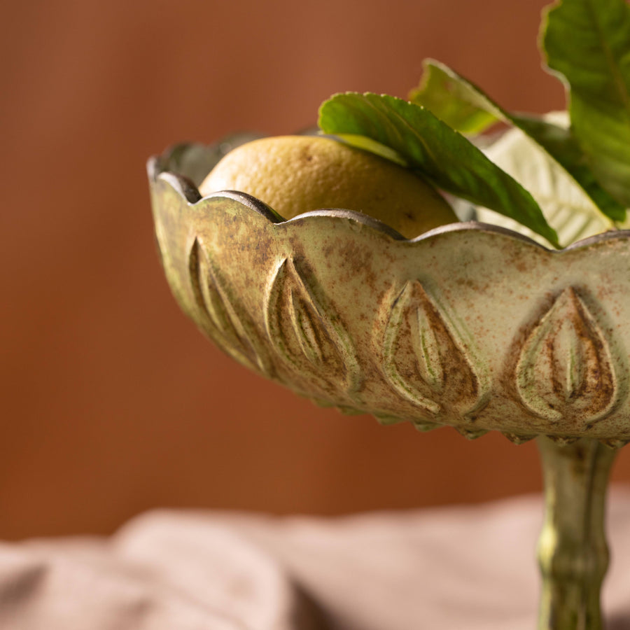Scallop Fruit Stand