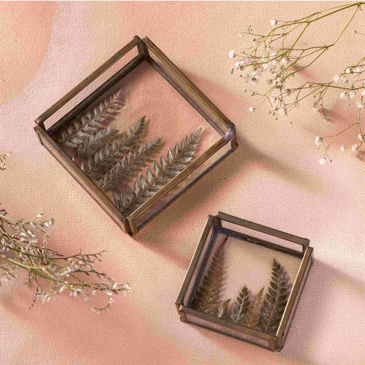 Fern Glass Tray