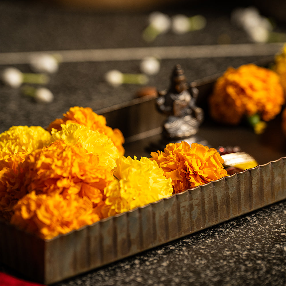 Garnet Tray - Peacock Life by Shabnam Gupta