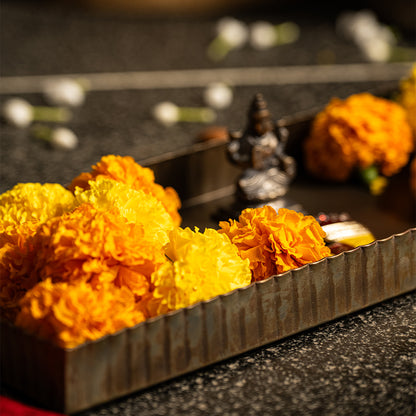 Garnet Tray - Peacock Life by Shabnam Gupta