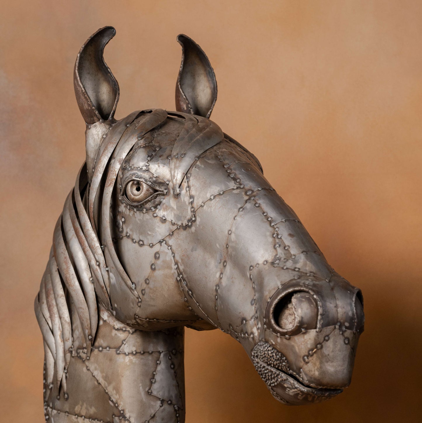Equine Metal Décor
