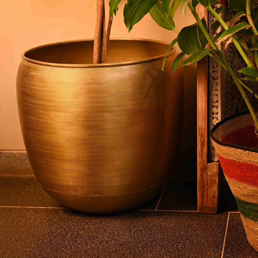 Elara Planter