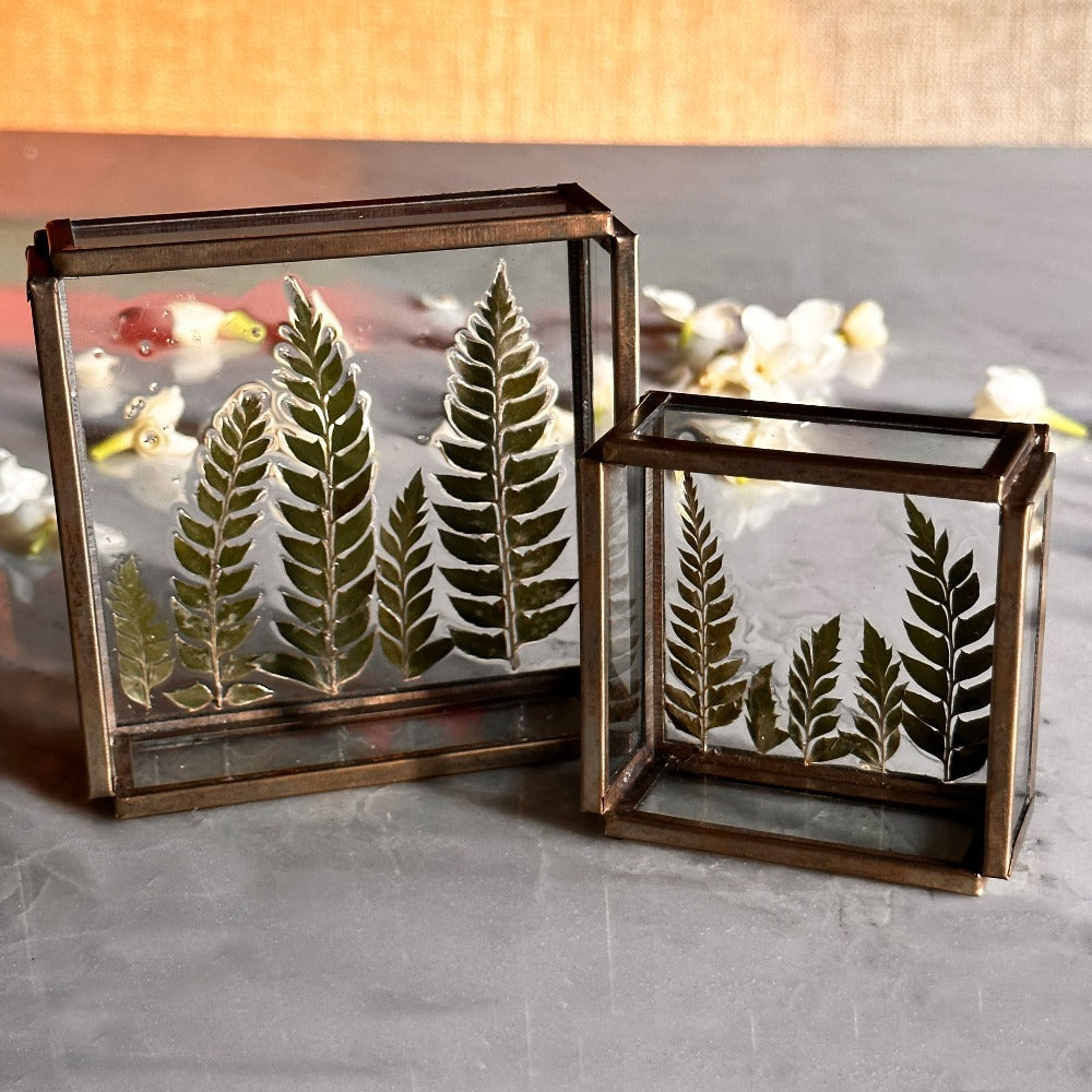 Fern Glass Tray - Peacock Life by Shabnam Gupta