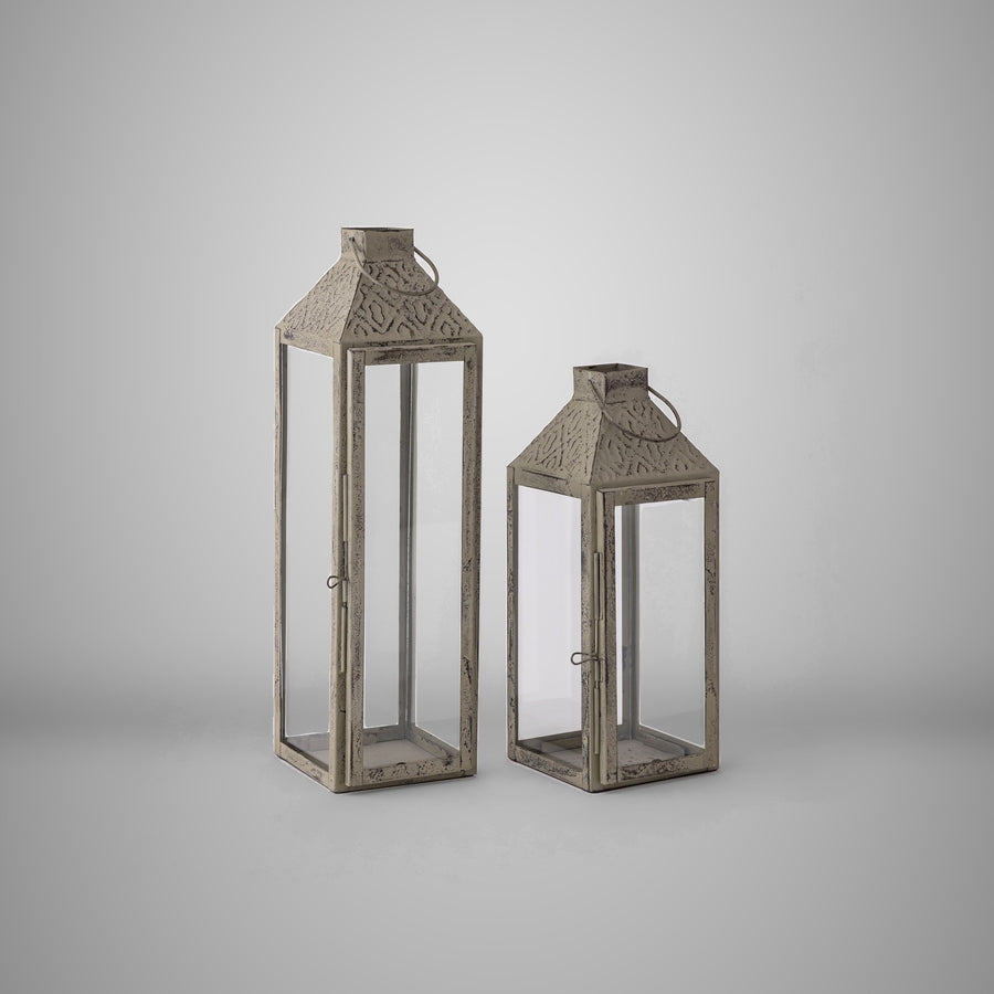Caligo Lantern