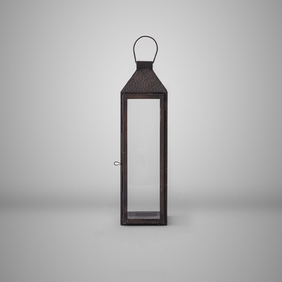 Caligo Lantern