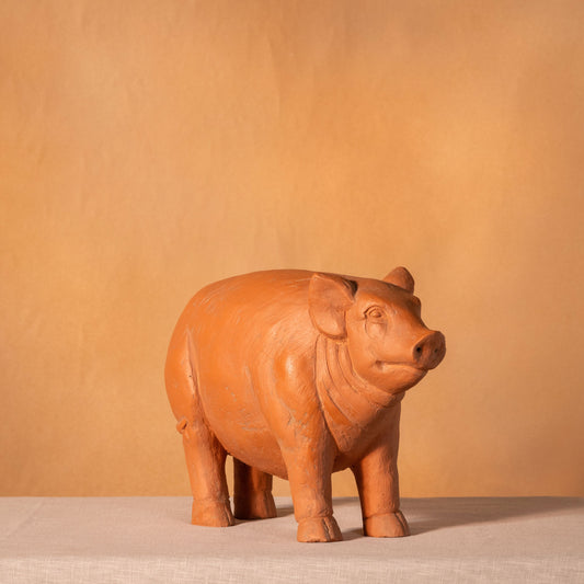 Cute Little Piglet