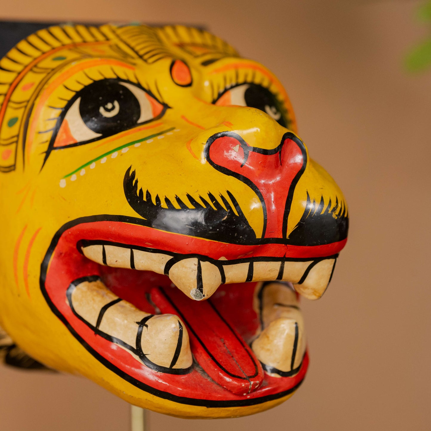 Tiger Head