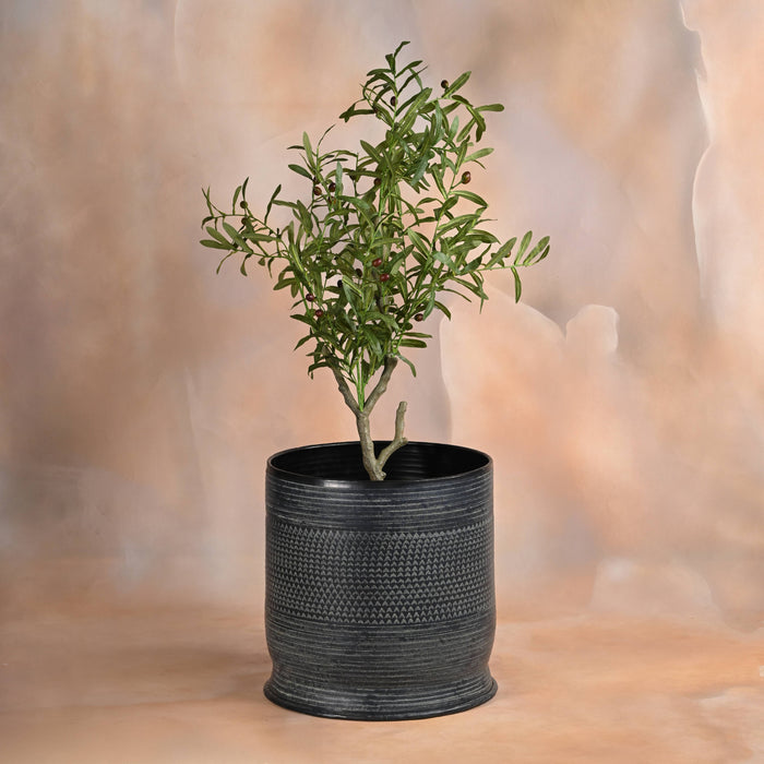 Raven Planter