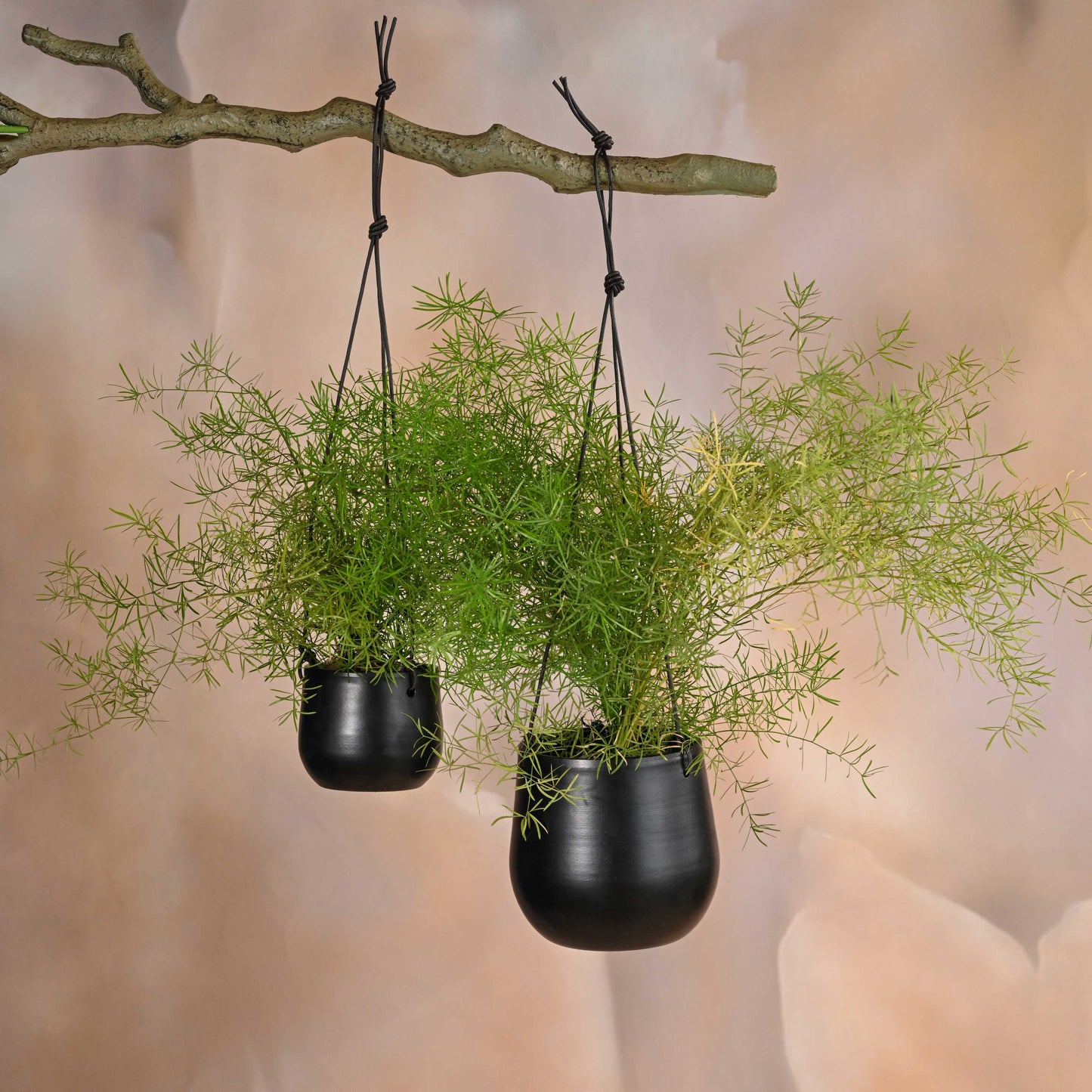Noir Planter