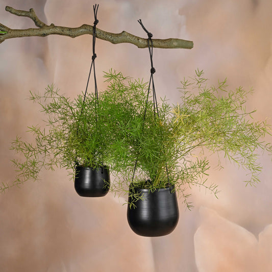 Noir Planter