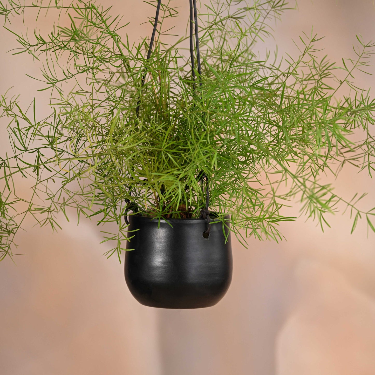 Noir Planter