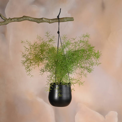 Noir Planter