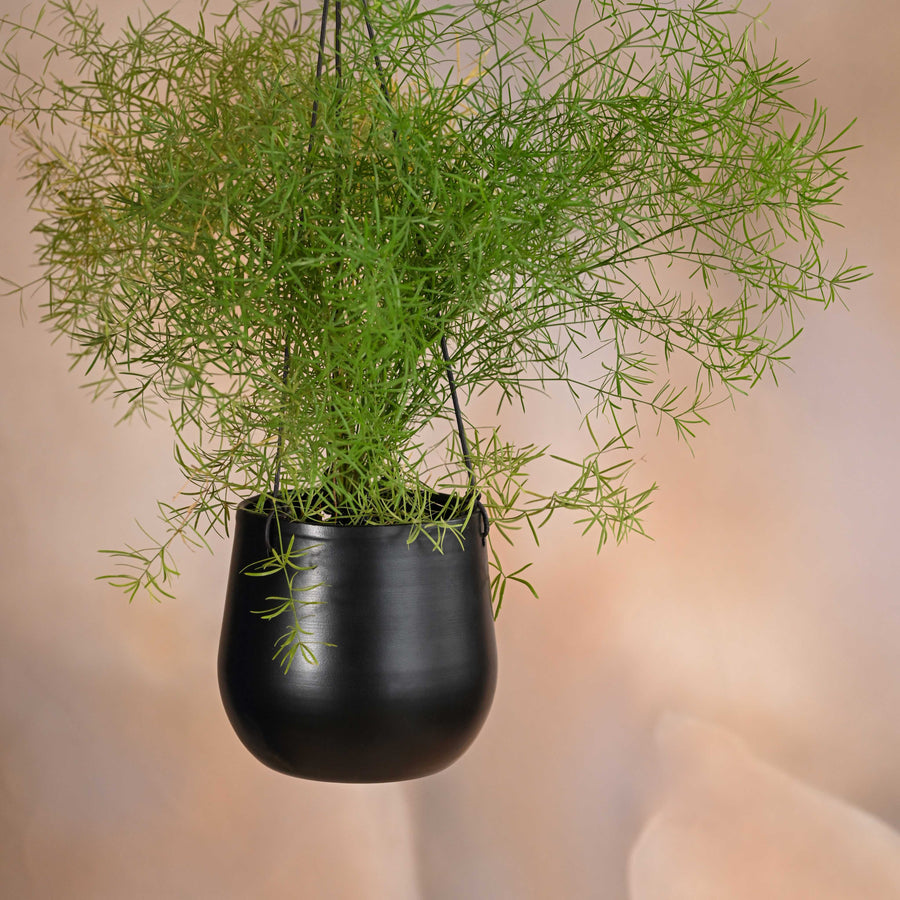 Noir Planter