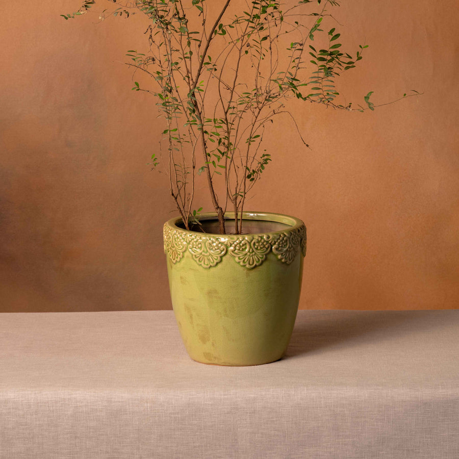 Scallop Planter