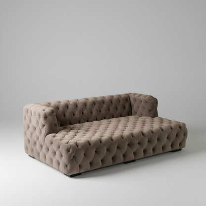 Modern Day Bed Sofa