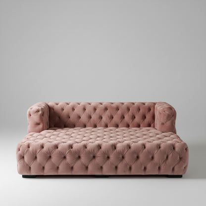 Modern Day Bed Sofa