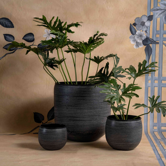 Kuro Planter