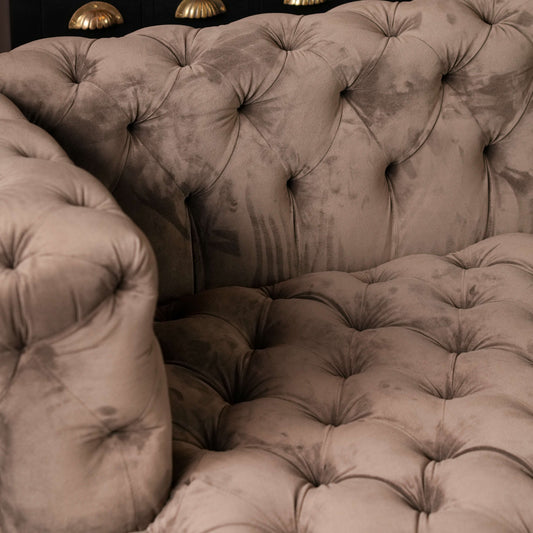Modern Day Bed Sofa