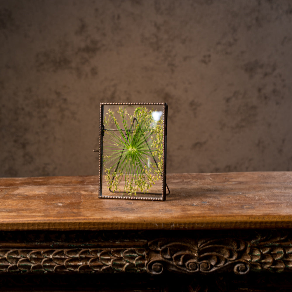 Bindu Glass Photo Frame - Peacock Life by Shabnam Gupta